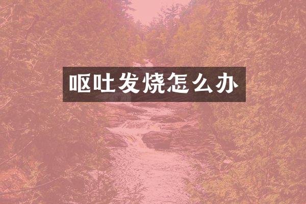 呕吐发烧怎么办