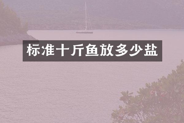 标准十斤鱼放多少盐
