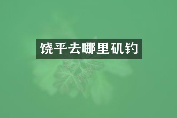 饶平去哪里矶钓