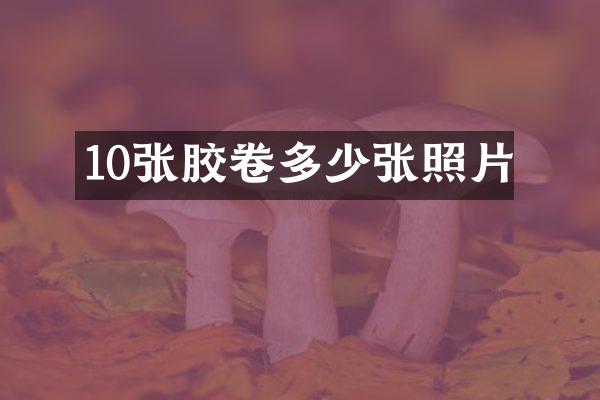 10张胶卷多少张照片