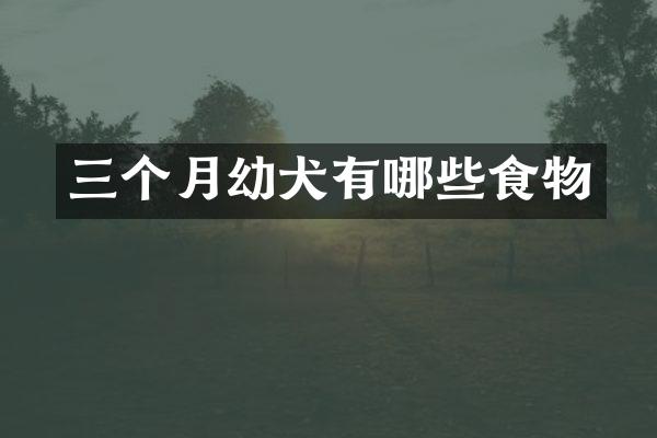 三个月幼犬有哪些食物