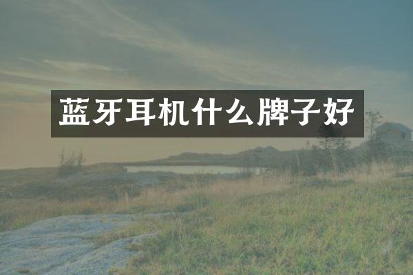 蓝牙耳机什么牌子好