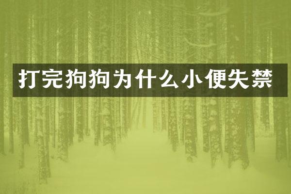 打完狗狗为什么小便失禁