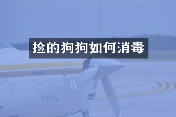 捡的狗狗如何消毒