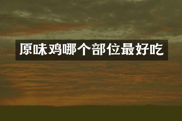 原味鸡哪个部位最好吃