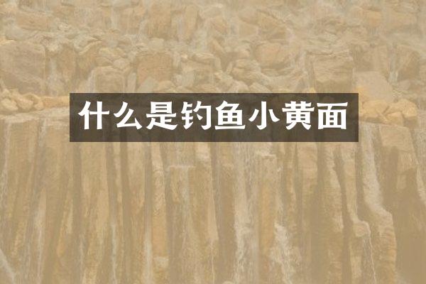 什么是钓鱼小黄面