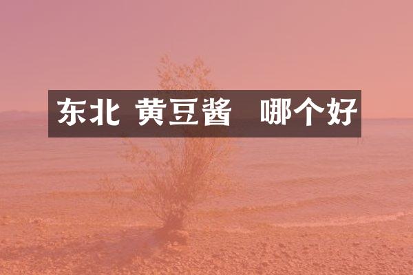 东北 黄豆酱  哪个好
