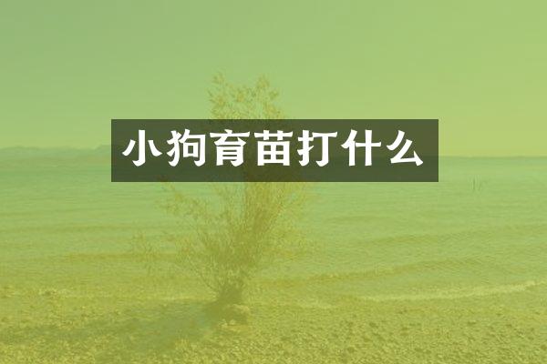 小狗育苗打什么