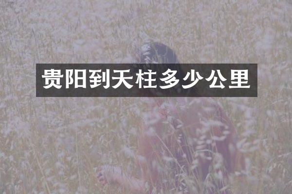 贵阳到天柱多少公里