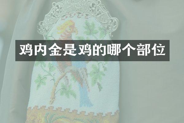 鸡内金是鸡的哪个部位