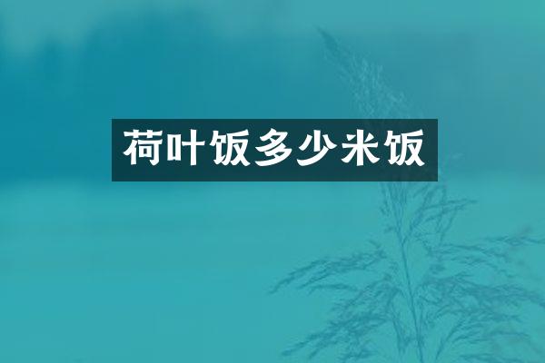 荷叶饭多少米饭