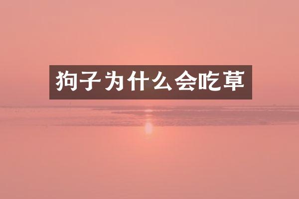 狗子为什么会吃草