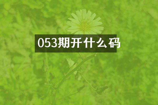 053期开什么码