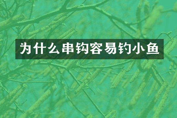 为什么串钩容易钓小鱼