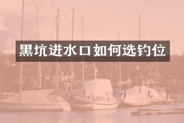 黑坑进水口如何选钓位