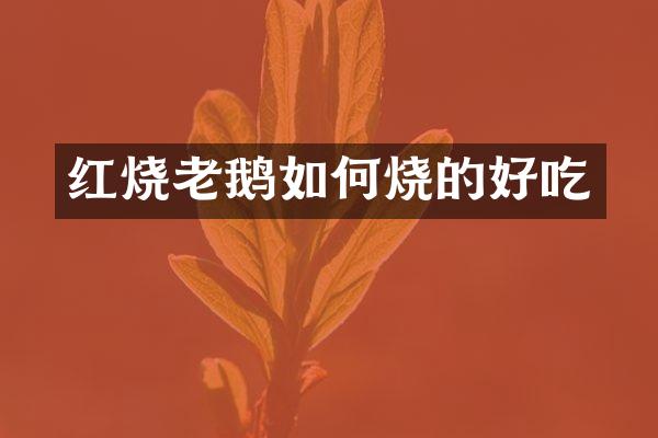 红烧老鹅如何烧的好吃