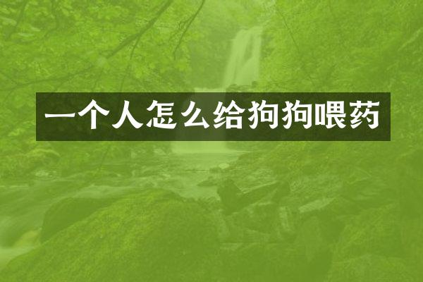 一个人怎么给狗狗喂药