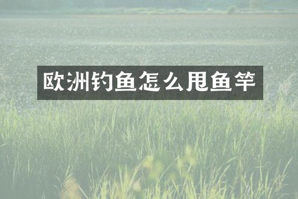 欧洲钓鱼怎么甩鱼竿