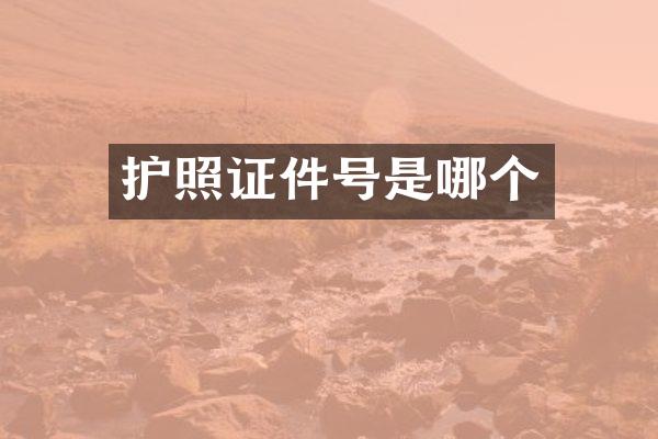 护照证件号是哪个