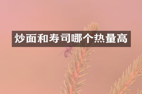 炒面和寿司哪个热量高