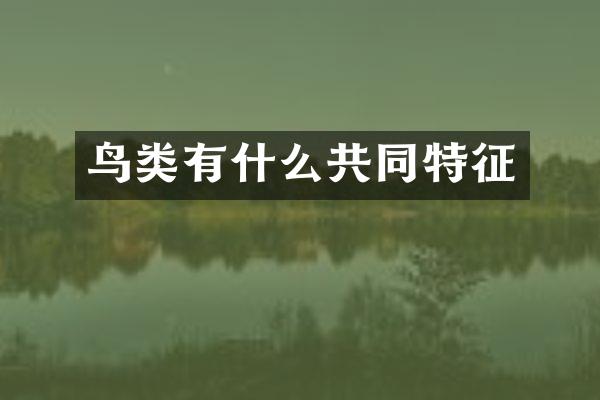 鸟类有什么共同特征