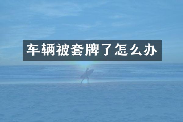 车辆被套牌了怎么办