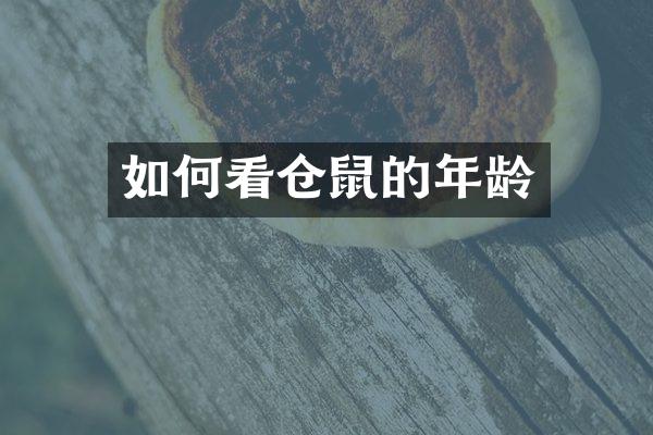 如何看仓鼠的年龄