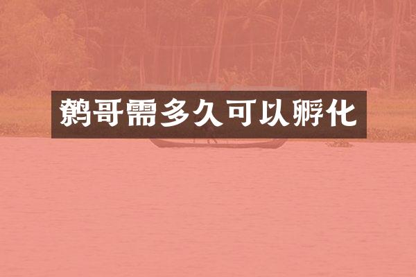 鹩哥需多久可以孵化