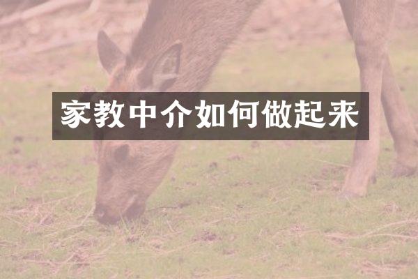 家教中介如何做起来
