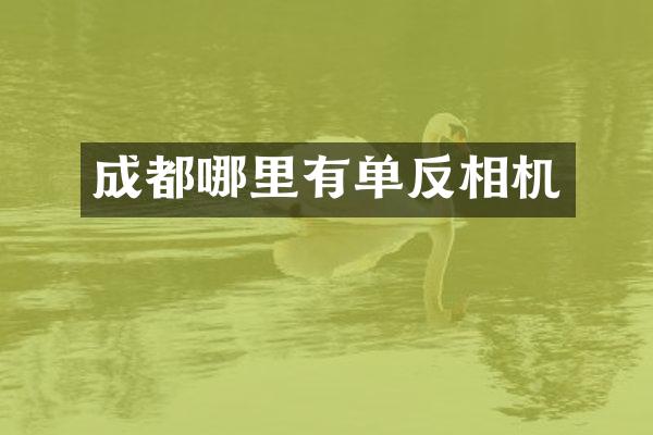 成都哪里有单反相机