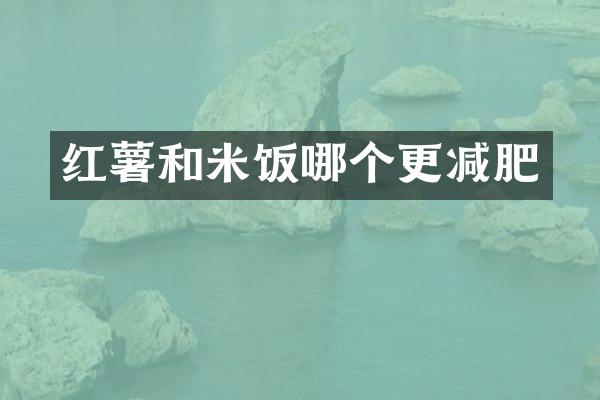 红薯和米饭哪个更减肥