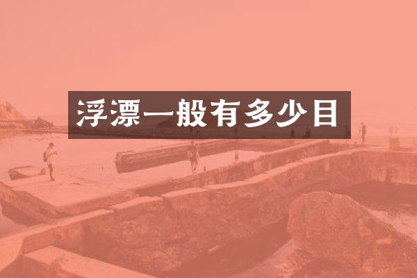 浮漂一般有多少目