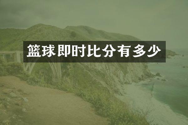 篮球即时比分有多少