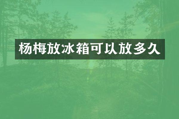 杨梅放冰箱可以放多久
