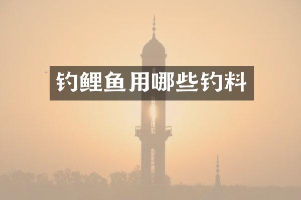 钓鲤鱼用哪些钓料
