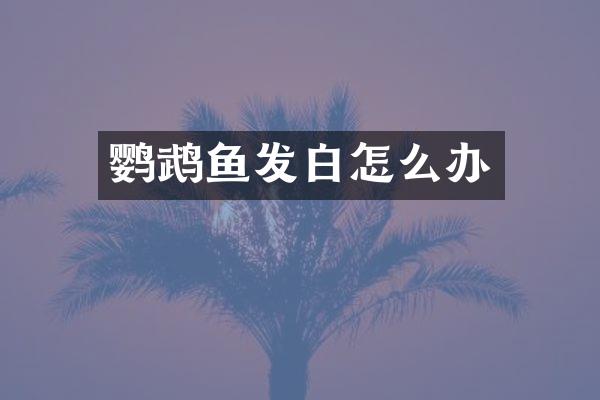 鹦鹉鱼发白怎么办