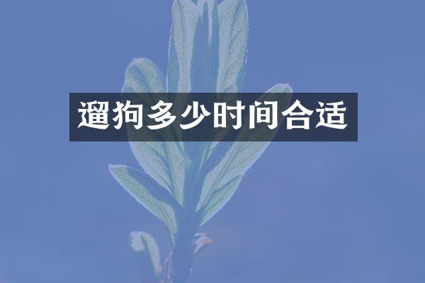 遛狗多少时间合适