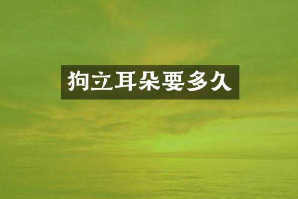 狗立耳朵要多久