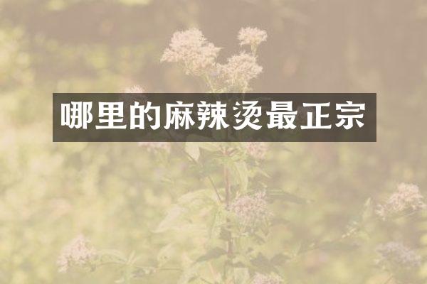 哪里的麻辣烫最正宗