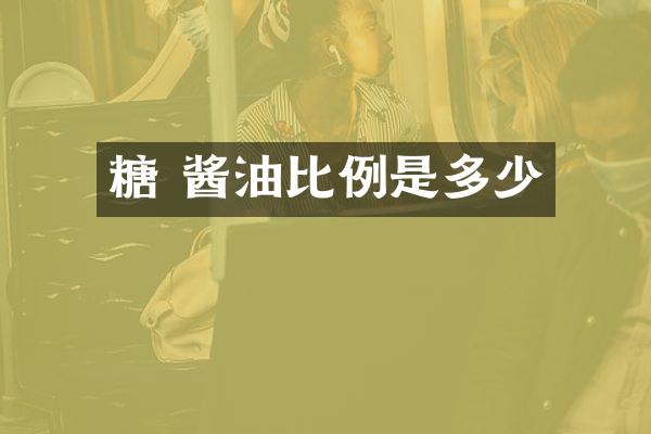 糖 酱油比例是多少