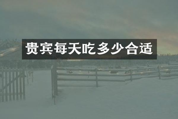 贵宾每天吃多少合适