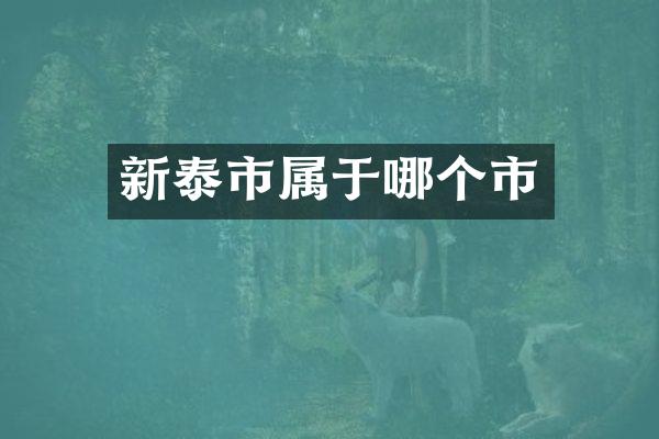 新泰市属于哪个市