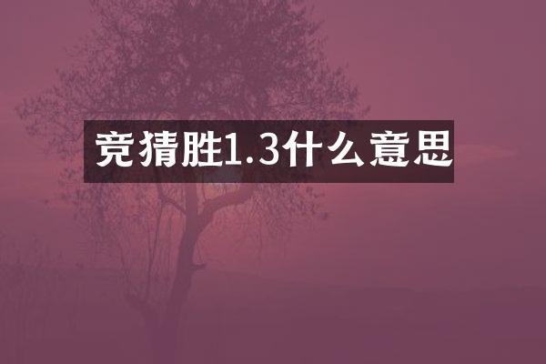 竞猜胜1.3什么意思