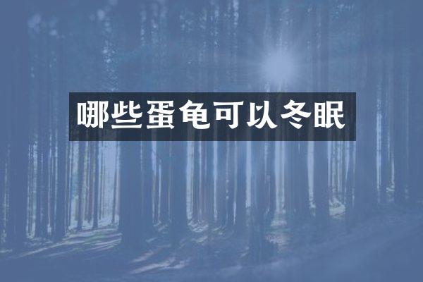 哪些蛋龟可以冬眠