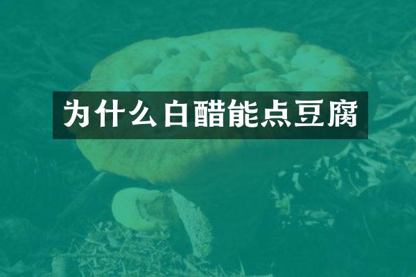 为什么白醋能点豆腐