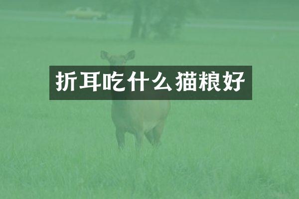 折耳吃什么猫粮好