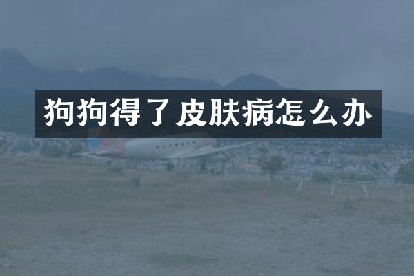 狗狗得了皮肤病怎么办