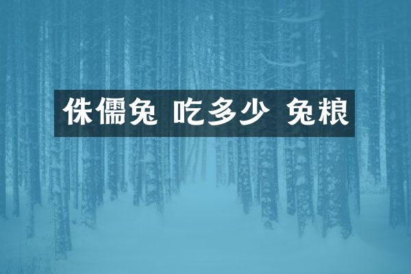 侏儒兔 吃多少 兔粮
