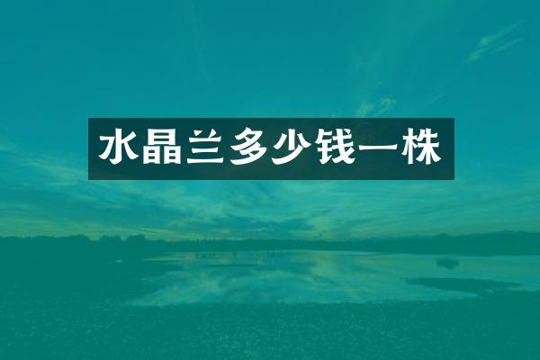 水晶兰多少钱一株