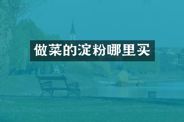 做菜的淀粉哪里买